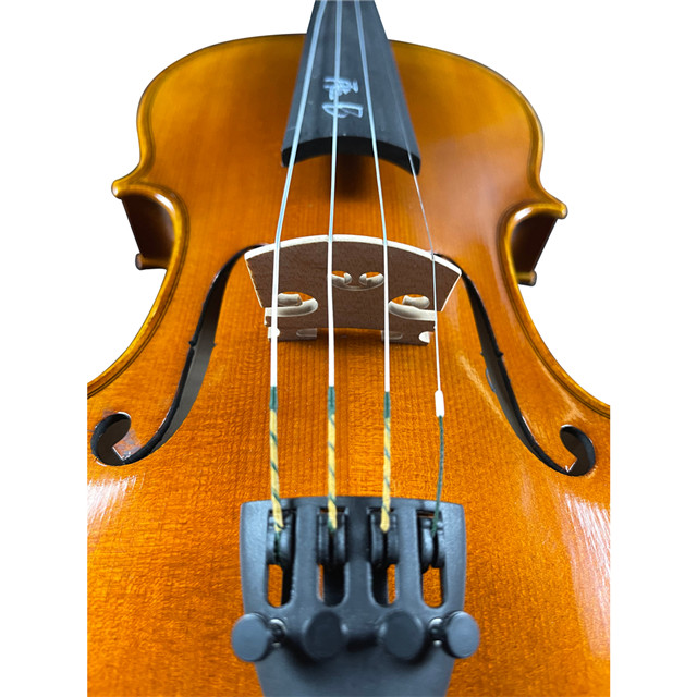 Best Violin Brands for Intermediate Players - Buy violin strings