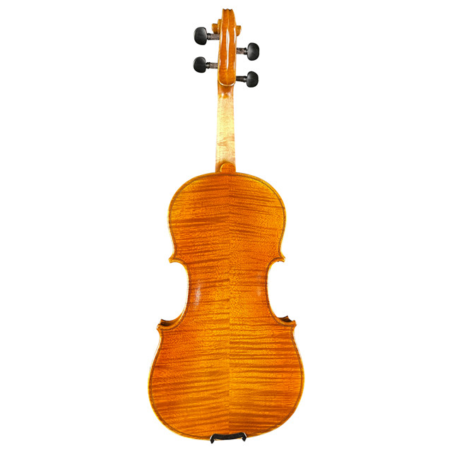 Best Violin Brands for Intermediate Players Buy violin strings
