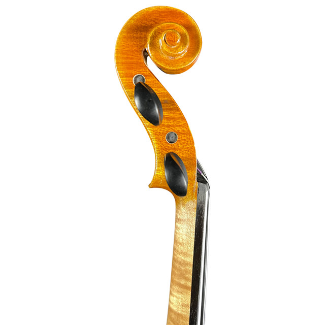 Best Violin Brands for Intermediate Players Buy violin strings