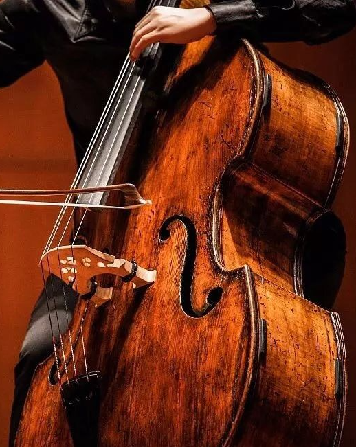 China professional double bass and custom double bass